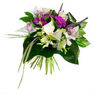 Wilde Flowers